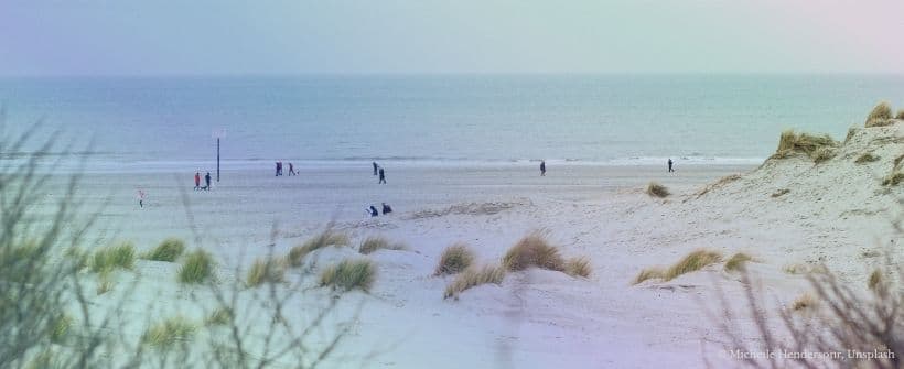 Steward Ownership.com Story Image(1)